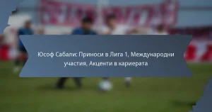 Юсоф Сабали: Приноси в Лига 1, Международни участия, Акценти в кариерата